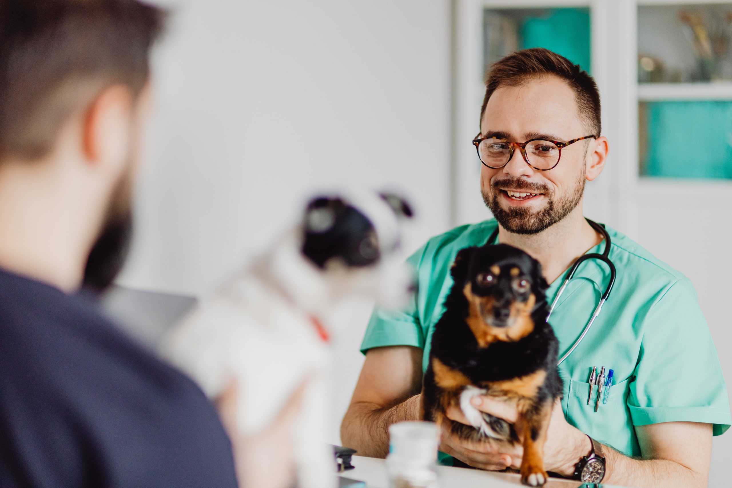 Veterinarian in green scrubs holding a dog
